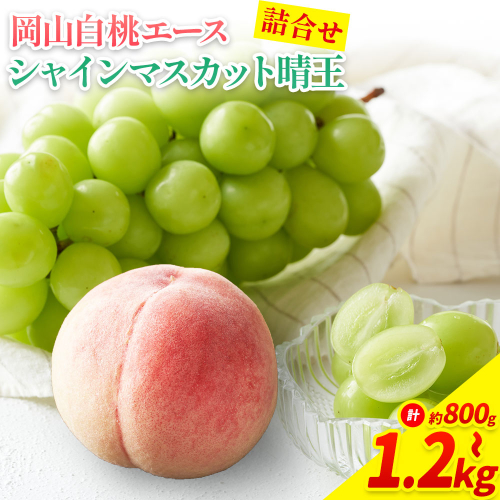 【先行予約】岡山県産 岡山白桃 エース L～ 3Lサイズ シャインマスカット 選べる 計 800g 1kg 1.2kg 詰合せ 株式会社 はちや《7月上旬-8月下旬頃出荷》もも 岡山 国産 フルーツ 果物 岡山県 浅口市 フルーツ モモ 果物【配送不可地域あり】 2433594 - 岡山県浅口市