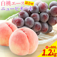 【先行予約】岡山県産 岡山白桃 エース L～ 3Lサイズ ニューピオーネ 選べる 計 800g 1kg 1.2kg 詰合せ 株式会社 はちや《7月上旬‐8月下旬頃出荷》もも 岡山 国産 フルーツ 果物 岡山県 浅口市 フルーツ モモ 果物【配送不可地域あり】