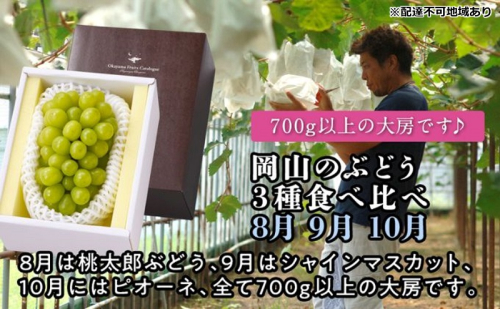 【2026年度発送】岡山のぶどう 3種 食べ比べ 3回 お届け 定期便 （8月・9月・10月） ブドウ 葡萄 大房 岡山県産 国産 フルーツ 果物 贈り物 ギフト 2433735 - 岡山県瀬戸内市