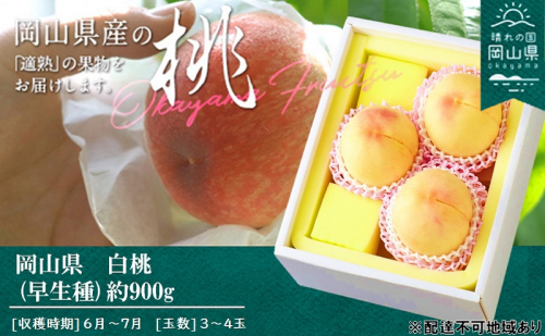 桃 2026年 先行予約 桃 早生種 約900g 3～4玉 もも モモ 岡山県産 国産 フルーツ 果物 ギフト 2433739 - 岡山県瀬戸内市