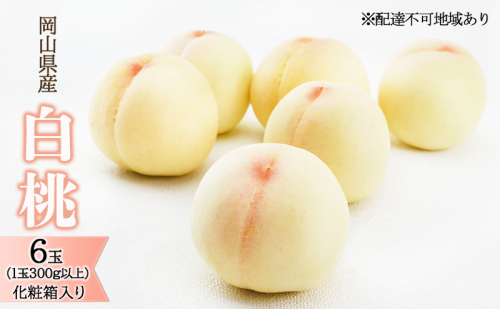 桃 2026年 先行予約 白桃 6玉（1玉300g以上）化粧箱入り もも モモ 岡山県産 国産 フルーツ 果物 ギフト 透き通る 白い 柔らかい 果汁 きめ細やか 恵み 知恵 情熱 贈り物 2433906 - 岡山県高梁市