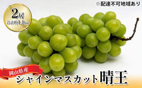 ぶどう 2026年 先行予約 シャイン マスカット 晴王 2房 （合計約1.1kg） 化粧箱入り マスカット ブドウ 葡萄  岡山県産 国産 フルーツ 果物 ギフト 2433907 - 岡山県高梁市