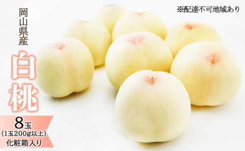 桃 2026年 先行予約 白桃 8玉（1玉200g以上）化粧箱入り もも モモ 岡山県産 国産 フルーツ 果物 ギフト 透き通る 白い 柔らかい 果汁 きめ細やか 恵み 知恵 情熱 贈り物 2433909 - 岡山県高梁市