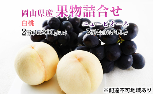 桃 ぶどう 2026年 先行予約 果物詰合せ 白桃 2玉（1玉200g以上） ニュー ピオーネ 2房（合計約940g）化粧箱入り 岡山県産 国産 フルーツ 果物 ギフト  贈り物 セット 2433910 - 岡山県高梁市