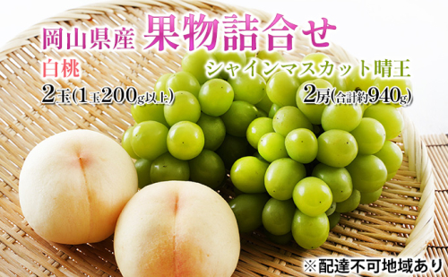 桃 ぶどう 2026年 先行予約 果物詰合せ 白桃 2玉 (1玉200g以上)  シャイン マスカット 晴王 2房 (合計約940g) 化粧箱入り 岡山県産 国産 フルーツ 果物 ギフト 2433911 - 岡山県高梁市