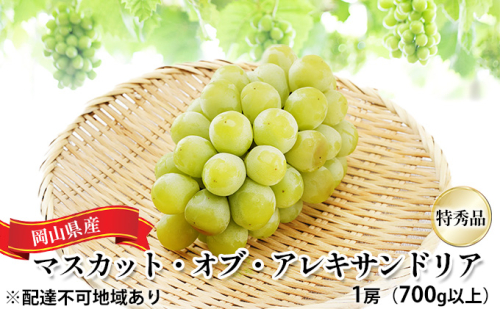 ぶどう 2026年 先行予約 マスカット・オブ・アレキサンドリア 特秀品 1房（1房700g以上）化粧箱入り 葡萄 岡山県産 国産 フルーツ 果物 ギフト 果実 上品 高級 2433914 - 岡山県高梁市