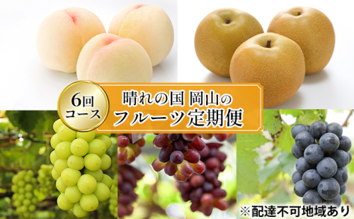 フルーツ 2026年 先行予約 晴れの国 岡山 の フルーツ 定期便 6回コース 桃 ぶどう 梨 岡山県産 国産 フルーツ 果物 ギフト 2433915 - 岡山県高梁市