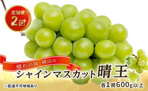 ぶどう 2026年 先行予約 晴れの国 岡山の シャイン マスカット 晴王 定期便 2回（各1房600g以上） 葡萄  岡山県産 国産 フルーツ 果物 ギフト 2433918 - 岡山県高梁市