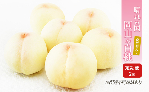 桃 定期便 2026年 先行予約 晴れの国 岡山 の 白桃 ×2回 お届け 1回目 白桃 6玉（1玉250g以上）／2回目 白桃 6玉（1玉300g以上） 化粧箱入り もも モモ 岡山産 国産 フルーツ 果物 ギフト 2433920 - 岡山県高梁市