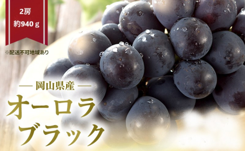 ぶどう 2026年 先行予約 オーロラブラック 2房 (約940g) 化粧箱入り 2433923 - 岡山県高梁市