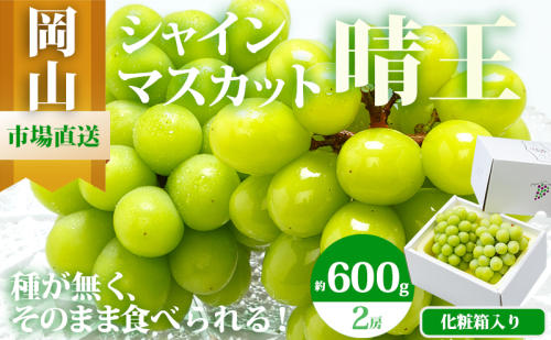 ぶどう 2026年 先行予約 シャイン マスカット 晴王 2房 （1房 600g以上） 化粧箱入り マスカット ブドウ 葡萄  岡山県産 国産 フルーツ 果物 ギフト 高級ぶどう 大粒 種なし 贈答品 2433927 - 岡山県高梁市