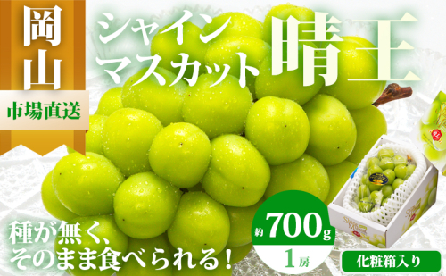 ぶどう 2026年 先行予約 シャイン マスカット 晴王 1房 700g以上 化粧箱入り マスカット ブドウ 葡萄  岡山県産 国産 フルーツ 果物 ギフト 高級ぶどう 大粒 種なし 贈答品 2433928 - 岡山県高梁市