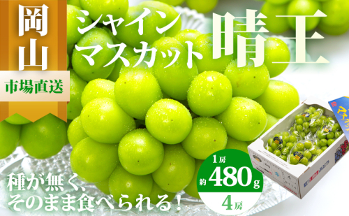 ぶどう 2026年 先行予約 シャイン マスカット 晴王 4房（1房480g以上）約2kg マスカット 岡山県産 国産 フルーツ 果物 ギフト 上品な香り 高級ぶどう 高級シャインマスカット 大粒 種なし 皮ごと 2433929 - 岡山県高梁市