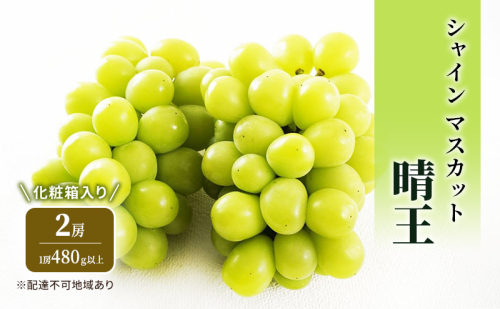 ぶどう 2026年 先行予約 シャイン マスカット 晴王 2房 (1房480g以上) 化粧箱入り ブドウ 葡萄 岡山県産 国産 フルーツ 果物 ギフト 2433930 - 岡山県高梁市