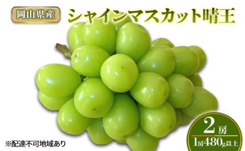 ぶどう 2026年 先行予約 シャインマスカット晴王2房(1房480g以上) 化粧箱入り ブドウ 葡萄 岡山県産 国産 フルーツ 果物 ギフト 2433931 - 岡山県高梁市