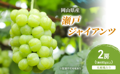 ぶどう 2026年 先行予約 瀬戸ジャイアンツ 2房(1房480g以上) 化粧箱入り ブドウ 葡萄 岡山県産 国産 フルーツ 果物 ギフト 2433936 - 岡山県高梁市