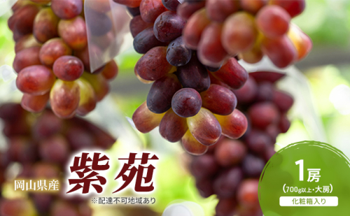ぶどう 2026年 先行予約 紫苑 1房(700g以上) 化粧箱入り ブドウ 葡萄 岡山県産 国産 フルーツ 果物 ギフト 2433937 - 岡山県高梁市