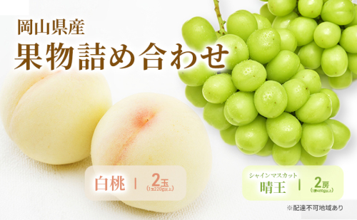 もも ぶどう 2026年 先行予約 詰合/白桃 2玉(1玉220g以上)・シャインマスカット 晴王  2房(1房480g以上) 化粧箱入り 岡山県産 国産 フルーツ 果物 ギフト 2433939 - 岡山県高梁市