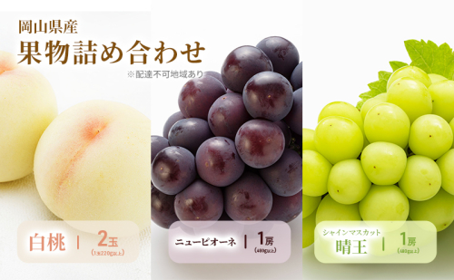 もも ぶどう 2026年 先行予約 詰合/白桃 2玉(1玉220g以上)・ニューピオーネ1房(480g以上)・シャインマスカット 晴王 1房(480g以上) 化粧箱入り 岡山県産 国産 フルーツ 果物 ギフト 2433940 - 岡山県高梁市