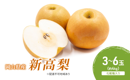 梨 2026年 先行予約 新高梨 3-6玉（約4kg） 化粧箱入り なし ナシ 岡山県産 国産 フルーツ 果物 ギフト 2433942 - 岡山県高梁市