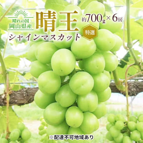 ぶどう 2026年 先行予約 シャイン マスカット 晴王 特選 6房（1房約700g）化粧箱入り 大粒 種無し ブドウ 葡萄 岡山県産 国産 フルーツ 果物 ギフト 橋田商店 2433956 - 岡山県高梁市