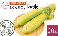 とうもろこし 味来 贈答用 20本 トウモロコシ 宮城県産 甘い 夏 朝採れ 産地直送 宮城県 大河原町