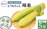 とうもろこし 味来 家庭用 5本 訳アリ トウモロコシ 宮城県産 甘い 夏 朝採れ 訳あり 産地直送 宮城県 大河原町