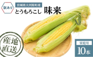 とうもろこし 味来 家庭用 10本 訳アリ トウモロコシ 宮城県産 甘い 夏 朝採れ 訳あり 産地直送 宮城県 大河原町