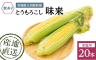 とうもろこし 味来 家庭用 20本 訳アリ トウモロコシ 宮城県産 甘い 夏 朝採れ 訳あり 産地直送 宮城県 大河原町