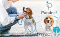 No.460-01 犬の首輪＆リードセット さんぽ用 ポンダープラスターコイズ S ／ ペット用品 犬用品 ペットグッズ 散歩グッズ ワンタッチ 着脱簡単 ロック付き 高耐久 おしゃれ 丈夫 カラフル ハンドメイド 手作り 手編み パラコード 革 レザー 大阪府