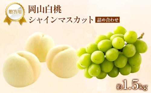 桃 ぶどう 2026年 先行受付 贈答用 白桃 シャインマスカット 詰め合わせ 約1.5kg フルーツ 果物 岡山 赤磐市 2434530 - 岡山県赤磐市