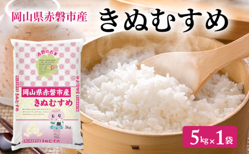 米 2025年産 きぬむすめ 5kg 1袋 岡山県赤磐市産 精米 白米 こめ お米 特Aランク 2434531 - 岡山県赤磐市