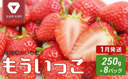 【1月配送】いちご 亘理町のいちご もういっこ 250g × 8パック オンライン決済限定 先行受付中！！ 苺 果物 フルーツ イチゴ セット 2434558 - 宮城県亘理町