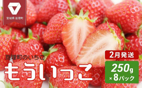 【2月配送】いちご 亘理町のいちご もういっこ 250g × 8パック オンライン決済限定 先行受付中 苺 果物 フルーツ イチゴ セット 2434559 - 宮城県亘理町