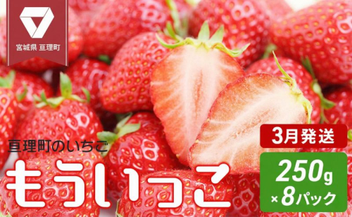 【3月発送】亘理町のいちご もういっこ 250g×8パック ＜オンライン決済限定＞※先行受付中！！ 果物詰合せ フルーツ 果物類 苺 イチゴ 2434560 - 宮城県亘理町