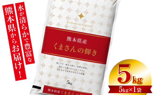 【令和7年産】 熊本県産 くまさんの輝き 5kg (5kg×1袋) 米 お米 精米 白米 ごはん ご飯 熊本県 八代市 2434568 - 熊本県八代市