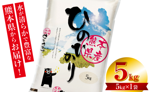 【令和7年産】 熊本県産 くまモンひのひかり 5kg (5kg×1袋) 米 お米 精米 白米 ごはん ご飯 熊本 2434570 - 熊本県八代市
