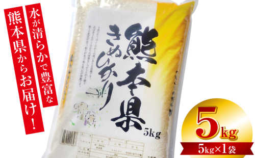 【令和7年産】  熊本県産 きぬひかり 5kg（5kg×1袋） 米 お米 精米 白米 ごはん ご飯 熊本 2434571 - 熊本県八代市