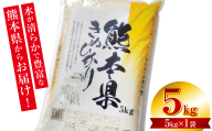 【令和7年産】  熊本県産 きぬひかり 5kg（5kg×1袋） 米 お米 精米 白米 ごはん ご飯 熊本