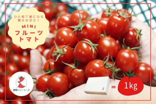 H-232　フルーツトマト【発送時期：1月～6月】 2434573 - 兵庫県たつの市