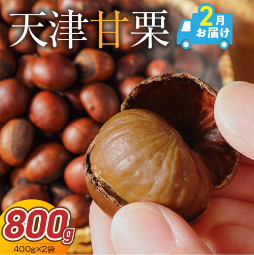 【2027年2月発送】この道50年の職人が焼く、やさしい甘みたっぷりの「天津甘栗」 800g ！ 焼きたて 栗 くり 栗爪 殻付き お菓子 おつまみ 人気 高リピート 小分け 栗ご飯 栗きんとん 甘露煮 H045-092_Feb 2434621 - 愛知県碧南市