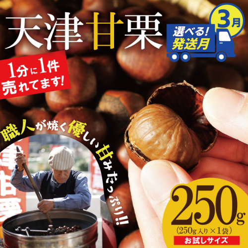 〈2026年3月発送〉【お試し】この道50年の職人が焼く、やさしい甘みたっぷりの「天津甘栗」250g！ 焼きたて 栗 くり 栗爪 殻付き お菓子 おつまみ 人気 高リピート 小分け 栗ご飯 栗きんとん 甘露煮 H045-078_Mar 2434624 - 愛知県碧南市