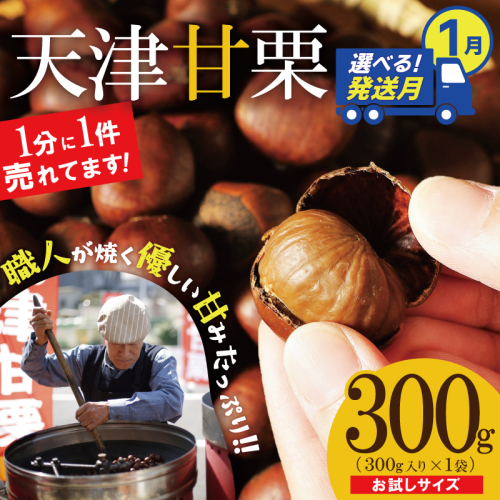 〈2026年1月発送〉【お試し】この道50年の職人が焼く、やさしい甘みたっぷりの「天津甘栗」300g！ 焼きたて 栗 くり 栗爪 殻付き お菓子 おつまみ 人気 高リピート 小分け 栗ご飯 栗きんとん 甘露煮 H045-068_Jan 2434625 - 愛知県碧南市