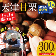 〈2026年1月発送〉【お試し】この道50年の職人が焼く、やさしい甘みたっぷりの「天津甘栗」300g！ 焼きたて 栗 くり 栗爪 殻付き お菓子 おつまみ 人気 高リピート 小分け 栗ご飯 栗きんとん 甘露煮 H045-068_Jan