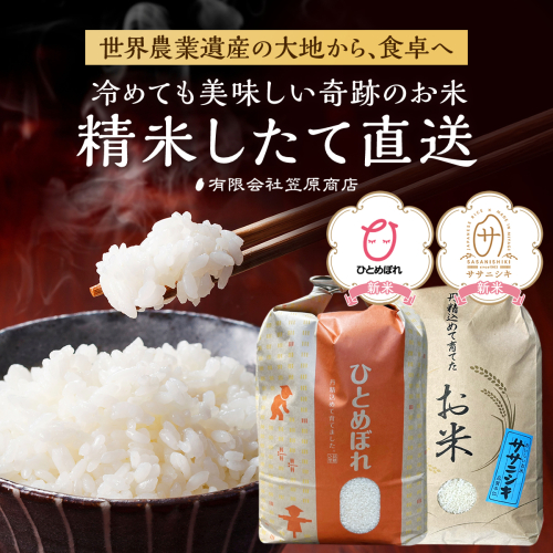 宮城県大崎市 世界農業遺産の米どころ直送 ひとめぼれ・ササニシキセット 各5kg 2434666 - 宮城県大崎市
