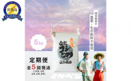 【定期便】新潟県佐渡産 令和7年産 【在来コシヒカリ】 玄米 5kg×全5回