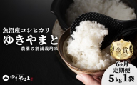 【6ヶ月定期便】【令和7年産】魚沼産  特別栽培米 コシヒカリ「ゆきやまと」5kg (5kg×1袋) ※節減対象農薬当地比5割減 ※東京米スターセレクション金賞受賞| こしひかり お米 おこめ こめ コメ ブランド米  新潟県 津南町