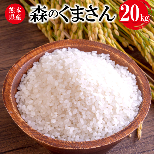令和7年産 森のくまさん 20kg 株式会社羽根《60日以内に出荷予定(土日祝除く)》熊本県 長洲町 熊本県産 白米 精米 森くま もりくま 米 2434763 - 熊本県長洲町