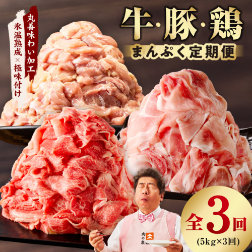 国産 牛肉＆豚肉＆鶏肉 まんぷく 定期便 5kg×3回【氷温熟成×極味付け 3種 食べ比べ 普段使い 味付き 小分け 訳あり サイズ不揃い】 mrzZ020 2434778 - 大阪府泉佐野市
