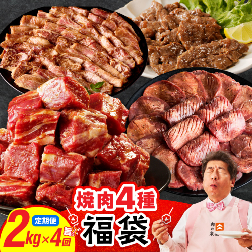 焼肉 福袋 4種セット 定期便 2kg×4回【氷温熟成×特製ダレ 食べ比べ 小分け 500g 牛肉 牛タン ヒレ ハラミ バラ 数量限定 毎月配送コース】 mrzZ028 2434783 - 大阪府泉佐野市